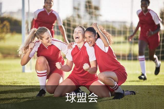 球盟会公司介绍图